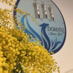 San Marino. DOMANI Motus-Liberi. 8 marzo: non un permesso sociale, ma la misura della civiltà di un Paese