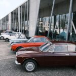 Al via l’edizione 2026 dell’Antica Fiera di San Gregorio: a Morciano di Romagna tornano gli appuntamenti nel segno della tradizione