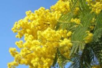 San Marino – “Il valore del lavoro contro ogni abuso”