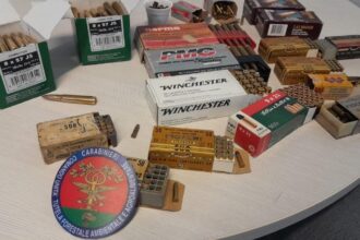 Bracconaggio nel riminese, denunciato un uomo: sequestrate reti e munizioni