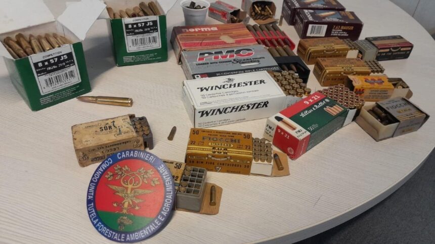 Bracconaggio nel riminese, denunciato un uomo: sequestrate reti e munizioni