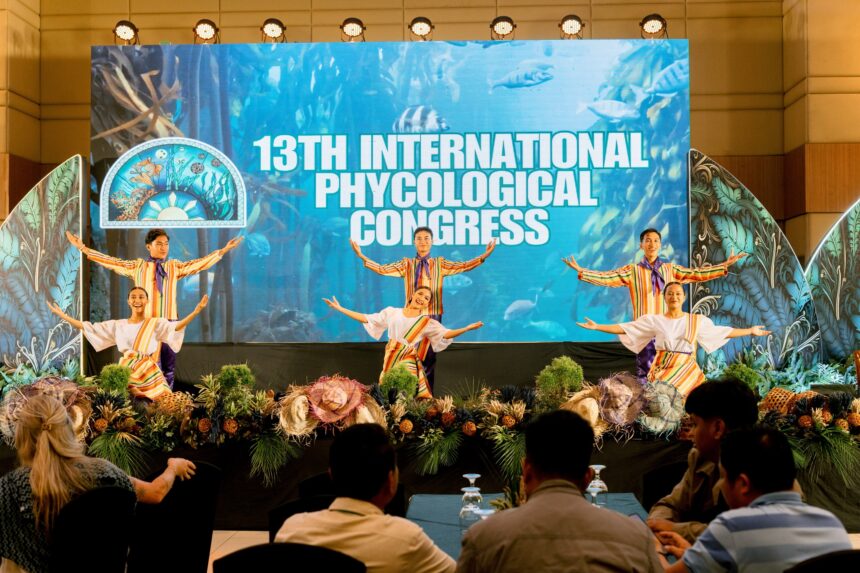 Rimini, assegnato il 14° International Phycological Congress: nel 2029 lo studio delle alghe arriva in Romagna