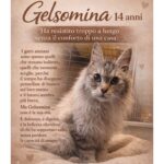 APAS San Marino. Gelsomina cerca il conforto di una casa