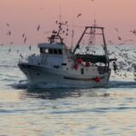 Cronaca. Crisi carburante e pesca: a Rimini scatta il piano di emergenza con turni ridotti per i pescherecci