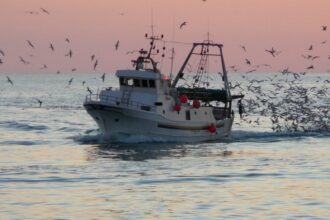 Cronaca. Crisi carburante e pesca: a Rimini scatta il piano di emergenza con turni ridotti per i pescherecci