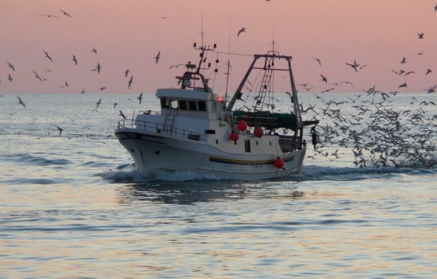 Cronaca. Crisi carburante e pesca: a Rimini scatta il piano di emergenza con turni ridotti per i pescherecci