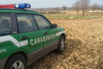 Cronaca. Rimini, cacciava uccelli protetti con trappole illegali: in casa un arsenale da guerra