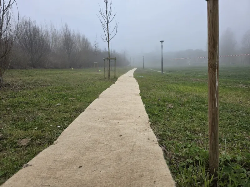Riccione. Riqualificazione del porto canale e del corridoio verde del Rio Melo: al via i lavori per la piantumazione di 11mila arbusti e dei giardini della pioggia