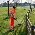 Riccione, piano straordinario per il verde: 3.500 nuovi fiori in vista della Pasqua