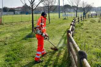 Riccione, piano straordinario per il verde: 3.500 nuovi fiori in vista della Pasqua