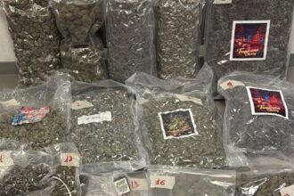 Rimini, 16 chili di droga in casa: arrestato 35enne incensurato