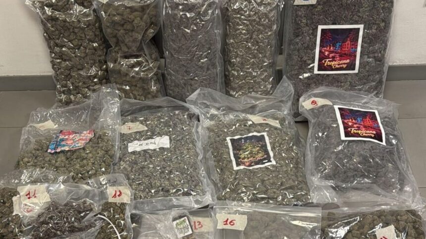 Rimini, 16 chili di droga in casa: arrestato 35enne incensurato