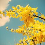 San Marino. Meteo: weekend col sole e temperatura gradevoli, ma da martedì torna la pioggia e un deciso calo termico