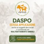 San Marino. Via libera al DASPO per chi maltratta gli animali: la soddisfazione dell’APAS