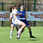 Serie B: si riparte dallo “Stirpe” di Frosinone. Lombardi: “C’è tutto per una bella partita”