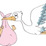 Cronaca. San Marino, ulteriore crollo delle nascite nei primi mesi del 2026: acceso dibattito politico in commissione sanità