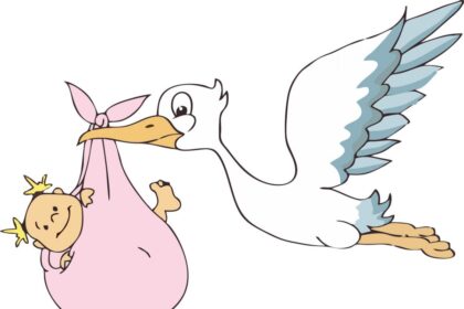 Cronaca. San Marino, ulteriore crollo delle nascite nei primi mesi del 2026: acceso dibattito politico in commissione sanità