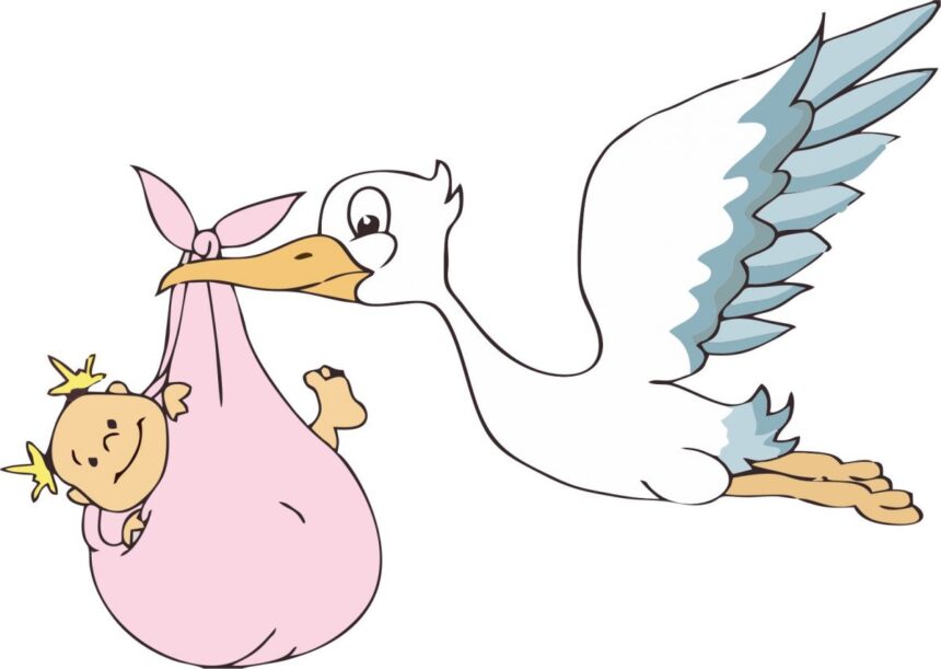 Cronaca. San Marino, ulteriore crollo delle nascite nei primi mesi del 2026: acceso dibattito politico in commissione sanità