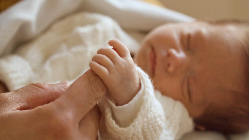 Commissione Interni su scuola e denatalità. Stima del patrimonio culturale: vale 1 miliardo di euro