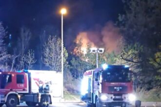Incendio nella notte a Faetano: fiamme nel bosco vicino alla scuola elementare