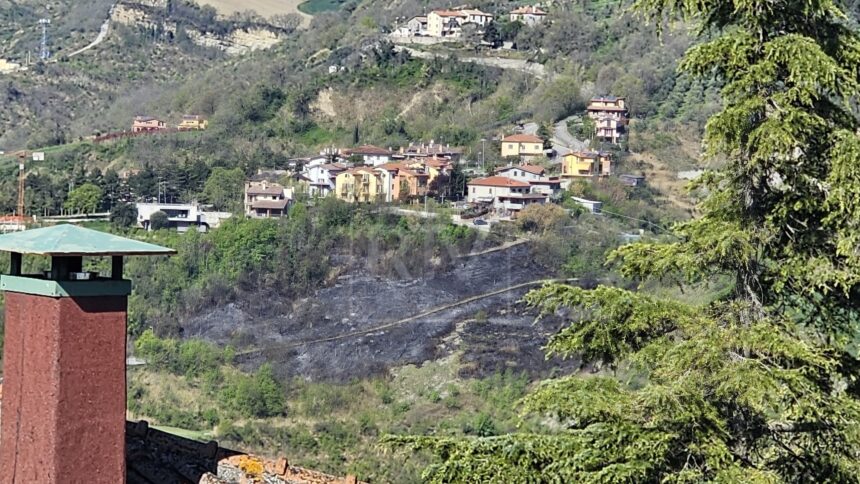 Incendio boschivo a Faetano, fiamme domate nella notte