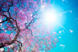 San Marino. Meteo: migliora il tempo e risalgono le temperature verso Pasqua e pasquetta