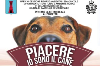 “Piacere, io sono il cane”: a Serravalle 5 incontri per approfondire la cultura cinofila e la relazione tra cane e uomo
