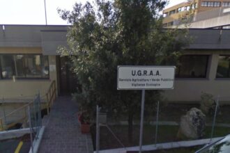 San Marino. “Piacere, io sono il cane”: al via a Serravalle un ciclo di incontri per approfondire la cultura cinofila e il benessere animale. Da giovedì 9 aprile presso la Sala del Castello