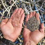 IAM: “Diamo nuova vita ai rifiuti metallici”