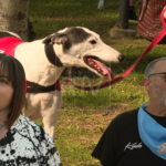 Quattro passi nella natura con i nostri amici animali: a Faetano si celebra l’inclusione