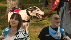 Quattro passi nella natura con i nostri amici animali: a Faetano si celebra l’inclusione