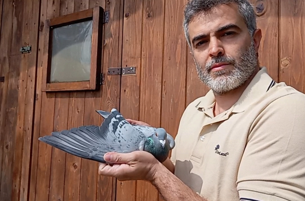 San Marino, Sport. Tripletta per Luca Casadei: il colombofilo sammarinese trionfa anche a Trani