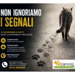 APAS San Marino. Scomparse di gatti nel territorio sammarinese: non ignoriamo i segnali