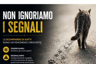 APAS San Marino. Scomparse di gatti nel territorio sammarinese: non ignoriamo i segnali