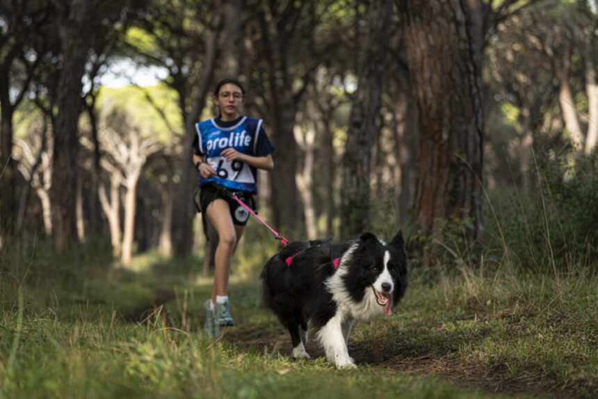 San Marino – 3° Canicross del Titano, con partenza e arrivo dal parco Laiala