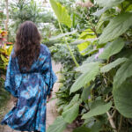 Alla Casa delle Farfalle di Milano Marittima una giornata dedicata al mondo della content creation