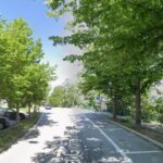 A Borgo Maggiore chiusura temporanei dei parcheggi in Via Ordelaffi per abbattimento alberi