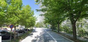 A Borgo Maggiore chiusura temporanei dei parcheggi in Via Ordelaffi per abbattimento alberi