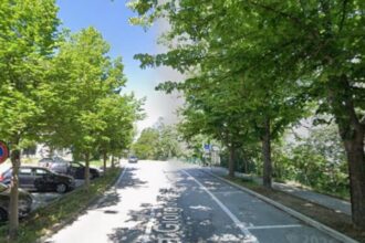 A Borgo Maggiore chiusura temporanei dei parcheggi in Via Ordelaffi per abbattimento alberi
