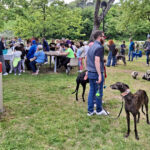 APAS San Marino. Un allegro pomeriggio insieme…Avanti a tutta zampa!