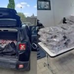 Trasporta 176 chili di hashish sull’A14: arrestato 51enne ubriaco alla guida