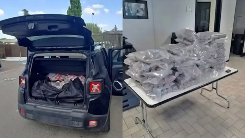 Trasporta 176 chili di hashish sull’A14: arrestato 51enne ubriaco alla guida