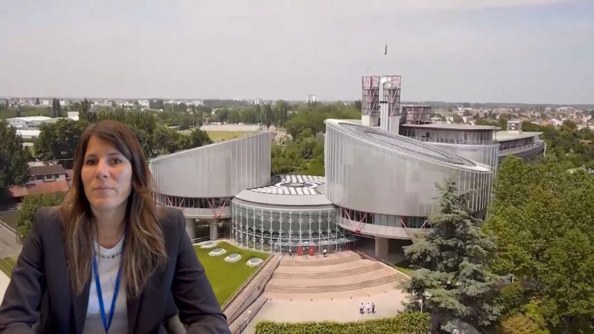 Assemblea Parlamentare COE, Muratori: “Rafforzare il multilateralismo a tutela della democrazia”