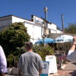 Pavoni a Punta Marina: il Comune spiega le ipotesi dopo il censimento