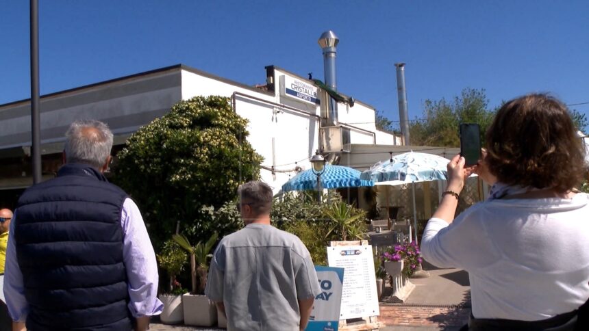 Pavoni a Punta Marina: il Comune spiega le ipotesi dopo il censimento