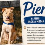 APAS San Marino. Pier merita un lieto fine