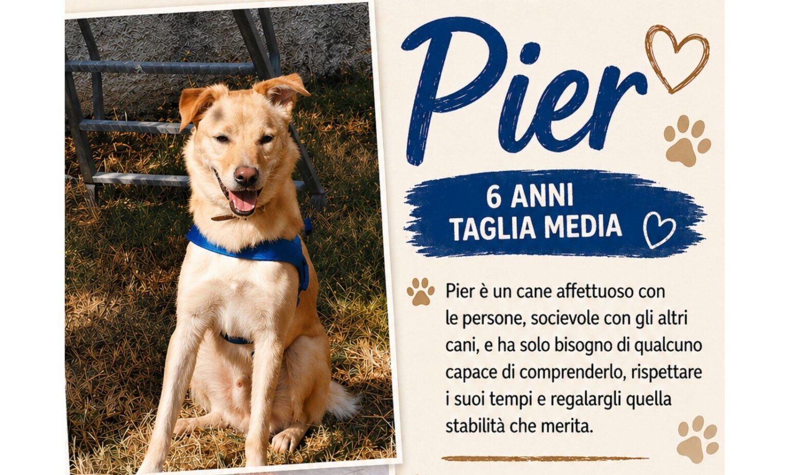 APAS San Marino. Pier merita un lieto fine