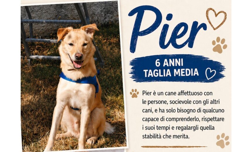 APAS San Marino. Pier merita un lieto fine