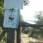 Giornata mondiale della Biodiversità: il Wwf lancia un nuovo corso gratuito online
