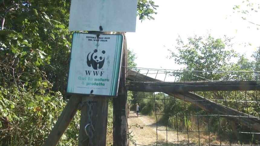 Giornata mondiale della Biodiversità: il Wwf lancia un nuovo corso gratuito online
